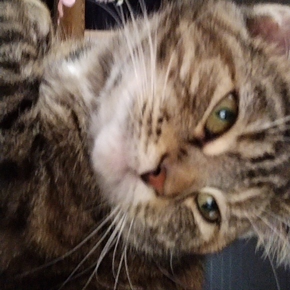 Meet your Posher, Juilan - Picture 1 of 1